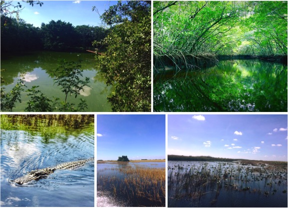 everglades miami